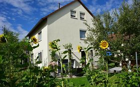 Ferienwohnung - Damisa House